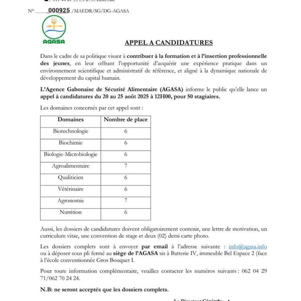 Appel à candidature - Stages