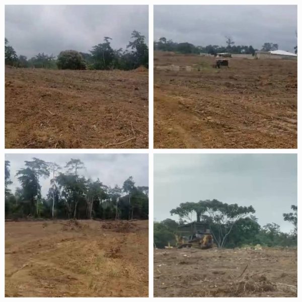VENDS TERRAINS A NKOLTANG